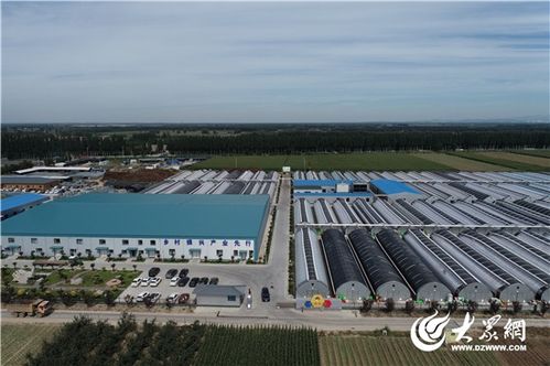 鎮(zhèn) 興路上 產(chǎn)業(yè)興,特色濃,文旅融 淄博強鎮(zhèn)出擊